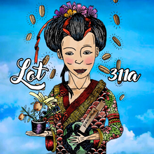 Load image into Gallery viewer, Panama Geisha 4 x 100gr pack (ord. pris 974Sek)
