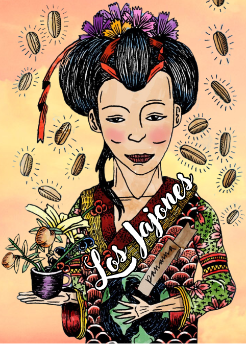 Panama Los Lajones Geisha Reserva Natural (100gr)