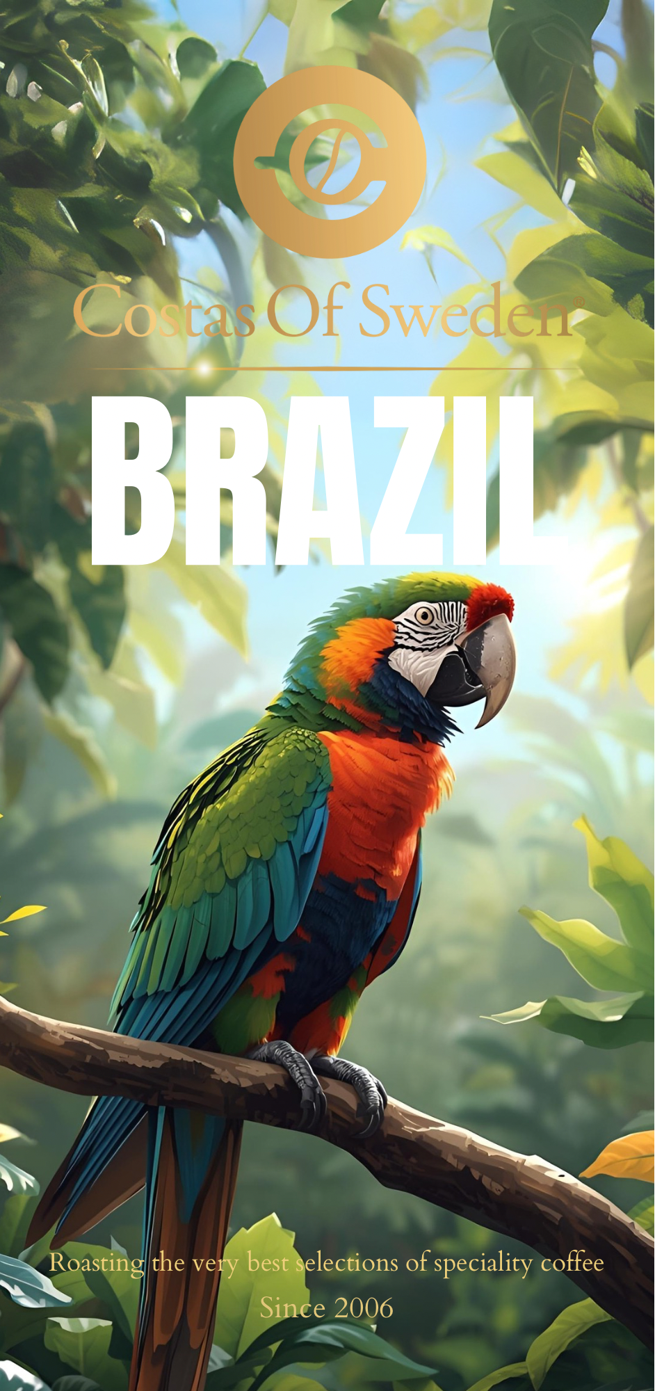 Brazil Aranas Natural (250gr)